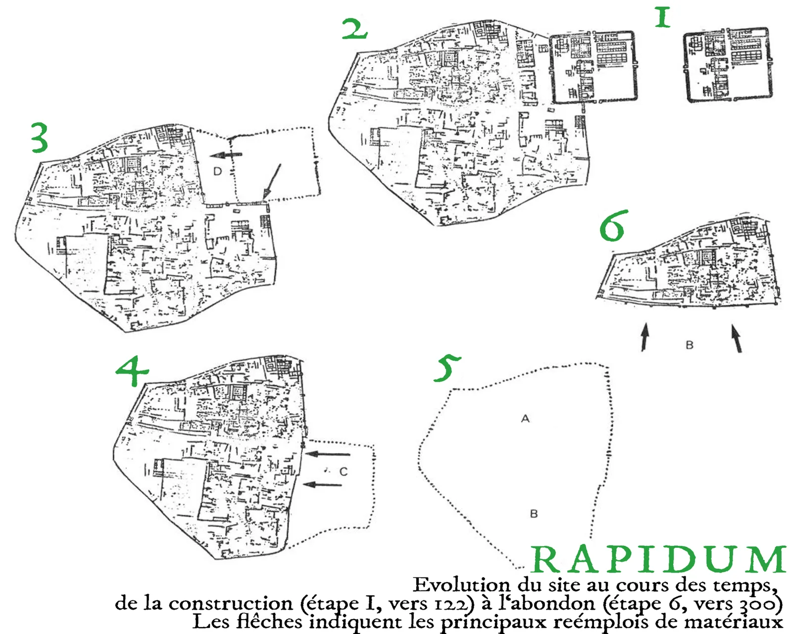 Rapidum